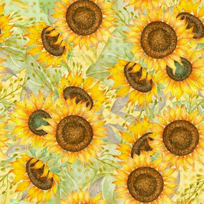 Sunflowers