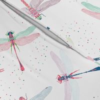 Pretty Dragonflies