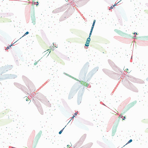 Pretty Dragonflies
