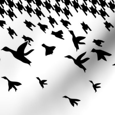 Black White Houndstooth birds