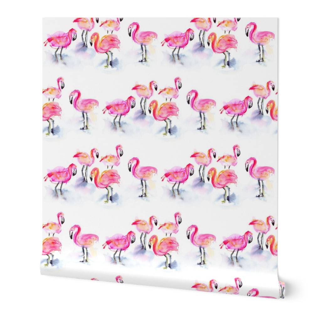 A flamboyance of flamingos!