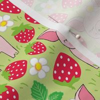 pigs-in-a-red-strawberry-patch