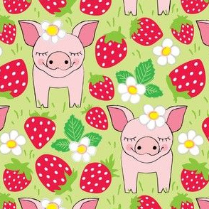 pigs-in-a-red-strawberry-patch