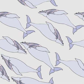  Whale Print