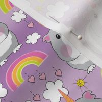 large unicorn guinea pigs and rainbows on purple