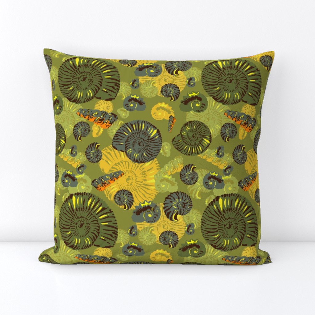 ammonites - large