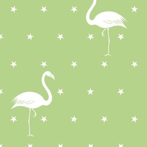 flamingos and stars on light green - large