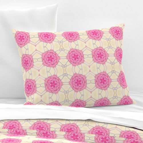 HOME_GOOD_STANDARD_PILLOW_SHAM