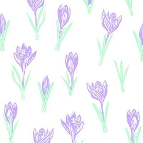 pastel lavender crocuses