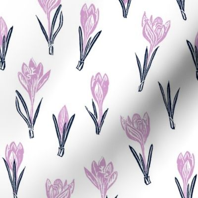 lavender and navy crocuses