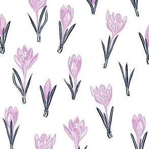 lavender and navy crocuses