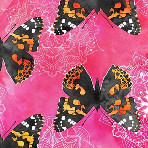 Watercolor Butterflies Mandalas ~ Pink Black Orange