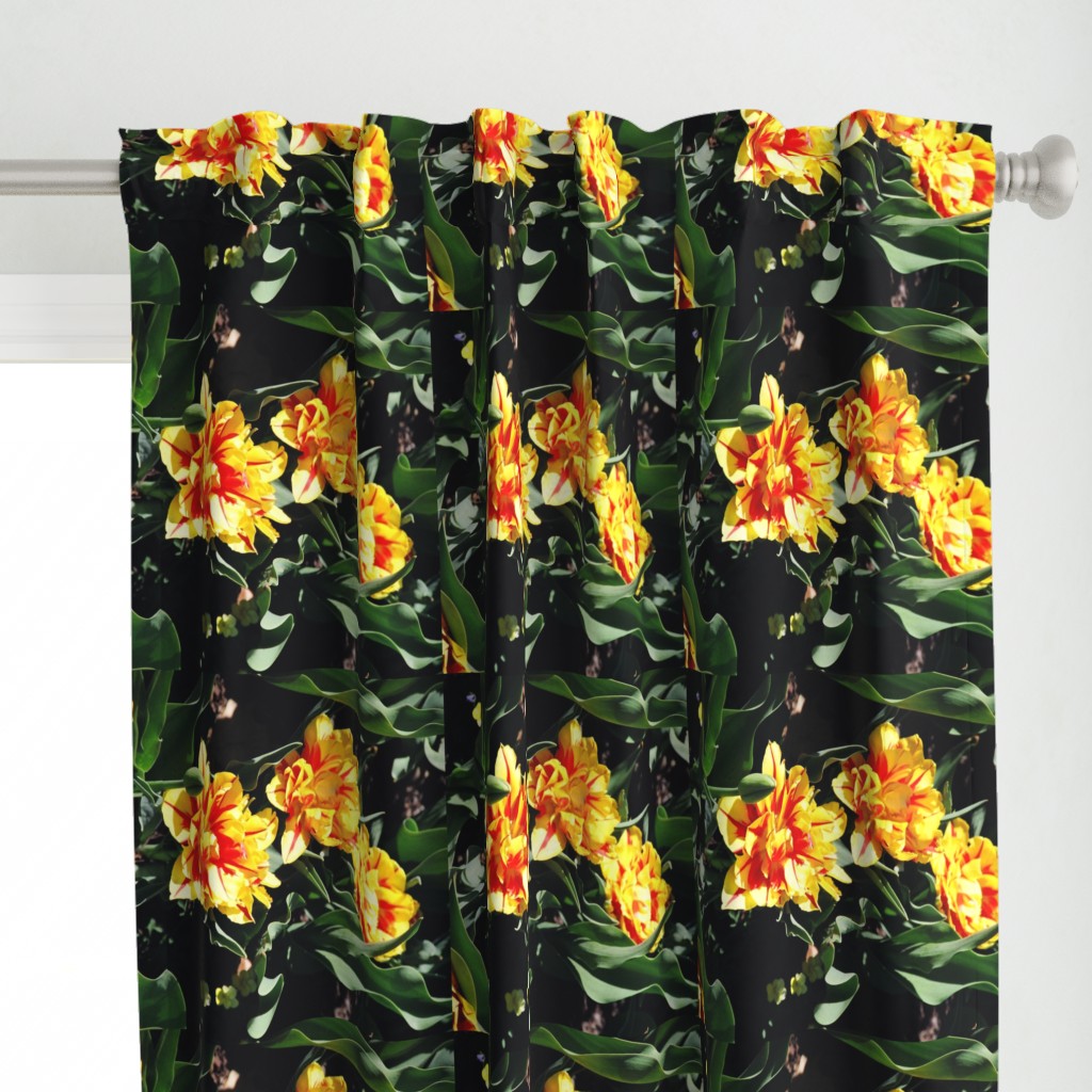 19870018REDANDYELLOWTULIPS