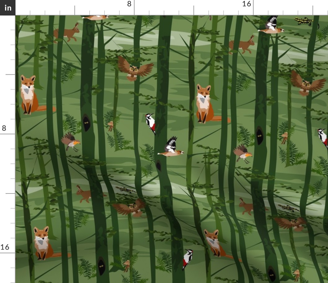 in the forest - fox, owl, rabbit, grosbeak, woodpecker, robin and salamander