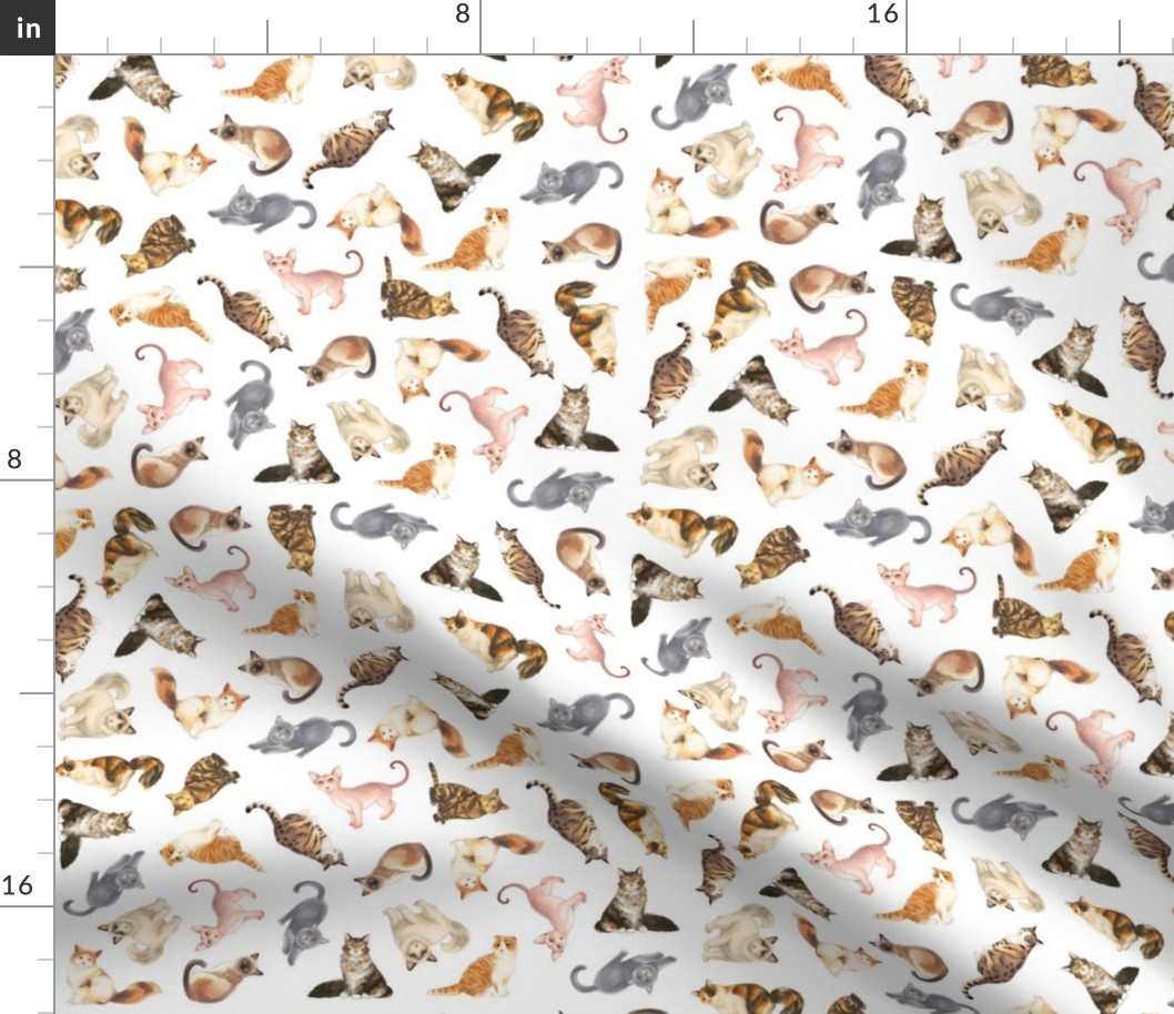 Cat Pattern