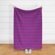 Pink and Purple Plaid with Blue Stripe