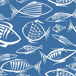 fishes navy