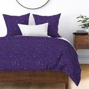 Rainbow constellations and moons - purple background