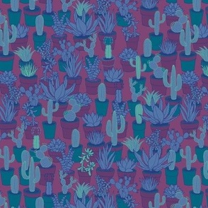 Succulents - teal, blue and purple