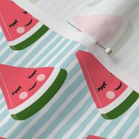 happy watermelon - pink on blue stripes