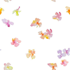 Falling Petals-white background