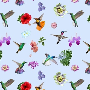 Hummingbird Garden -  Pale plumbago