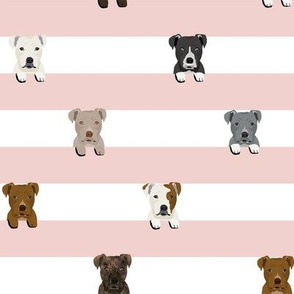 pitbull stripes dog breed fabric pink