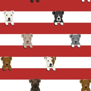 pitbull stripes dog breed fabric red