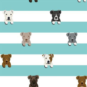 pitbull stripes dog breed fabric light blue