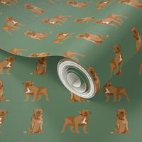 french mastiff simple dog breed fabric green