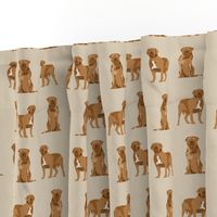 french mastiff simple dog breed fabric tan