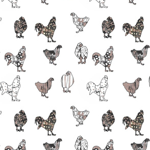 hens and roosters