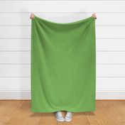 green solid solids color coordinate