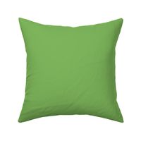 green solid solids color coordinate