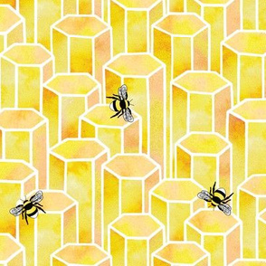 Bees & Hexagons