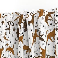 Trotting natural Boxers and paw prints - white