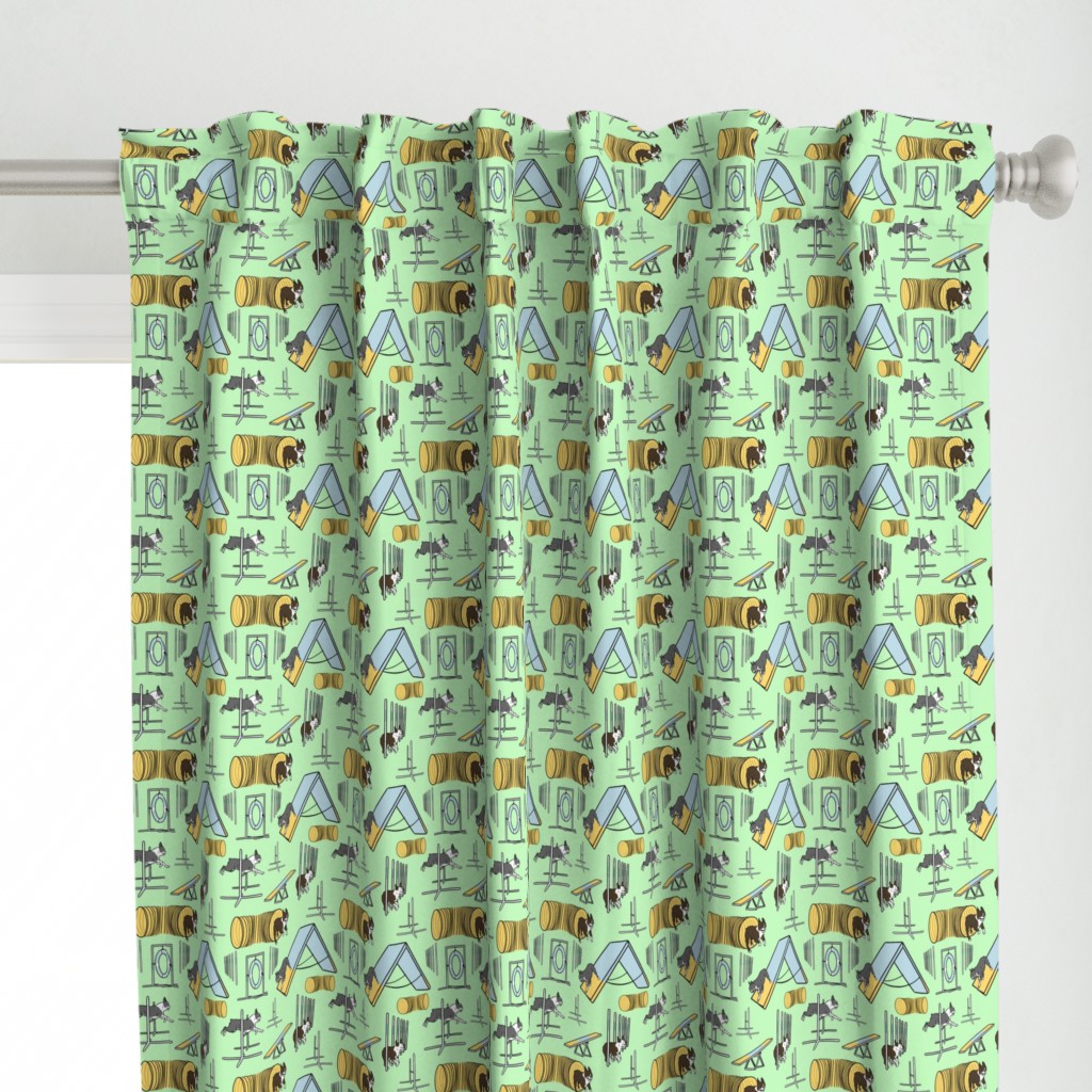 Small Simple Boston Terrier agility dogs - green