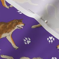 Trotting Shiba Inu and paw prints - purple