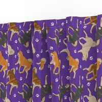 Trotting Shiba Inu and paw prints - purple