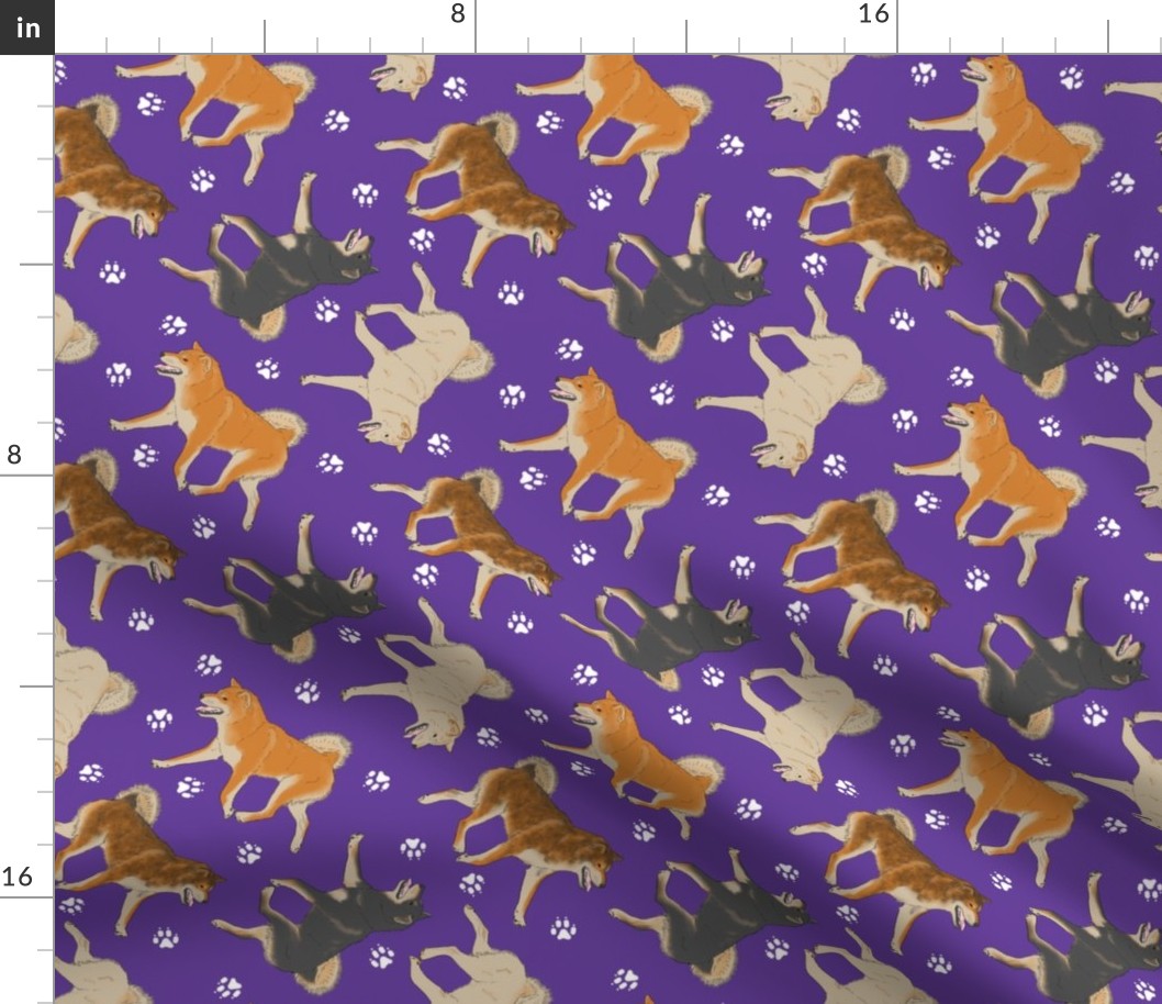 Trotting Shiba Inu and paw prints - purple