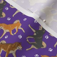 Tiny Trotting Shiba Inu and paw prints - purple