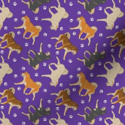 Tiny Trotting Shiba Inu and paw prints - purple