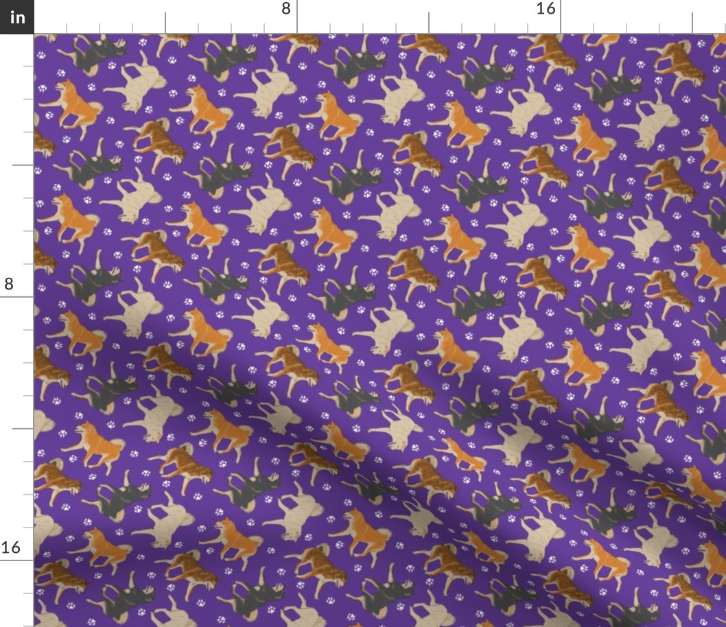 Tiny Trotting Shiba Inu and paw prints - purple