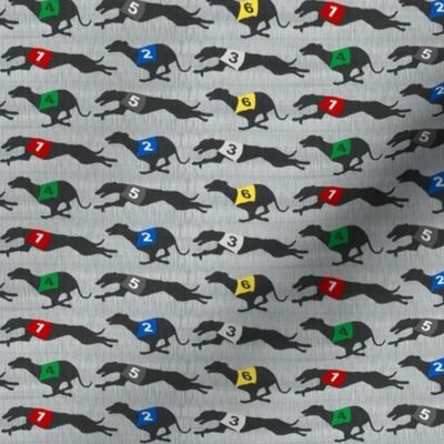 Small Coursing Whippets border - gray
