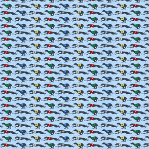 Small Coursing Whippets border - blue