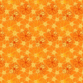 Orange Flowers 4