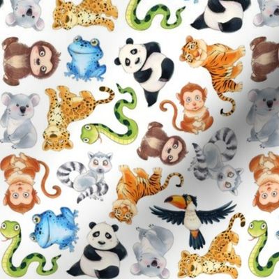 Jungle Animal Patterns