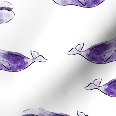 purple whales