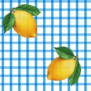 blue gingham w big lemons