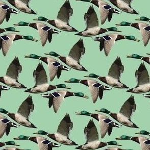 Ducks in Flight on mint